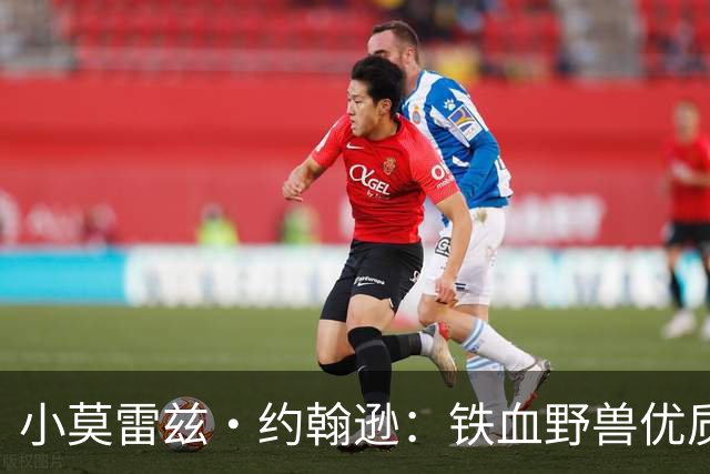 小莫雷兹·约翰逊：铁血野兽优质冠军拼图 开发三分顺位直逼乐透